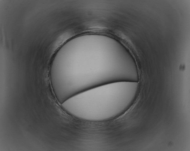 X0000094071362200710190946