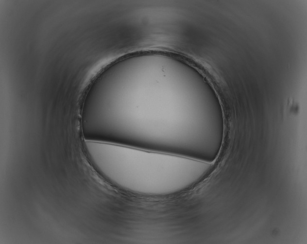 X0000094071363200710190946