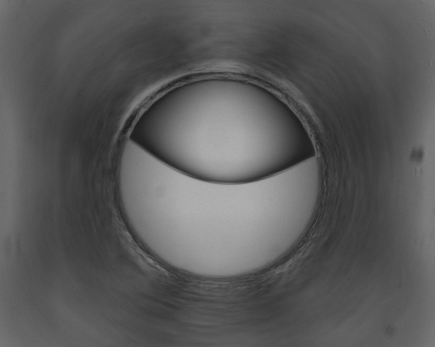 X0000094071364200710190946