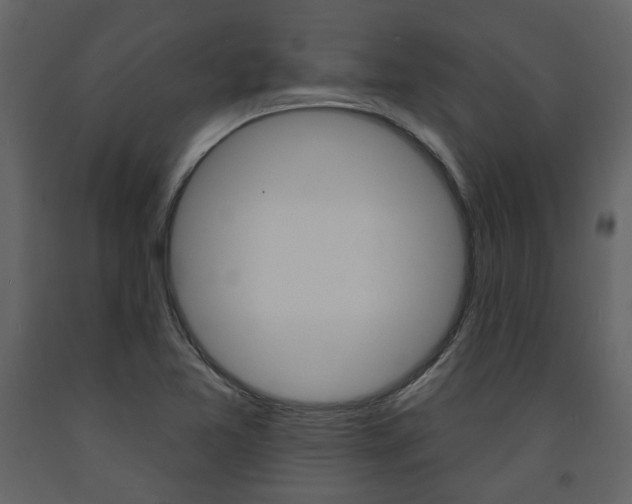 X0000094071365200710190946