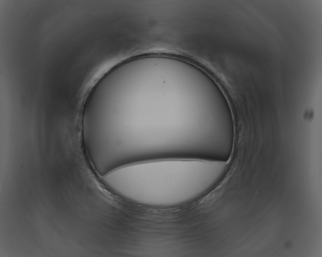 X0000094071367200710190946