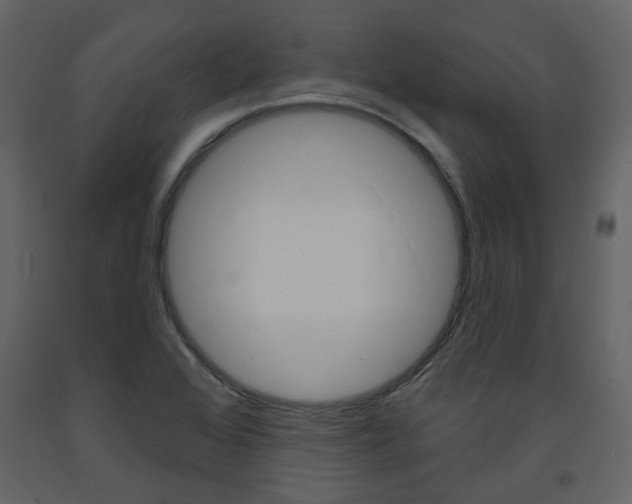 X0000094071368200710190946