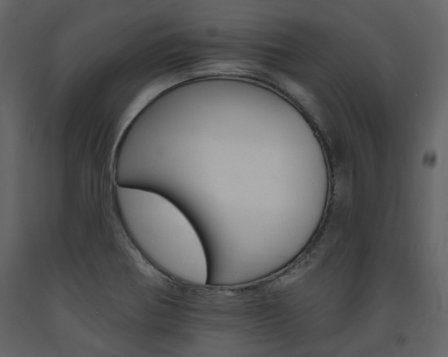 X0000094071370200710190946