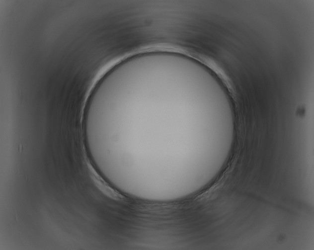 X0000094071372200710190946
