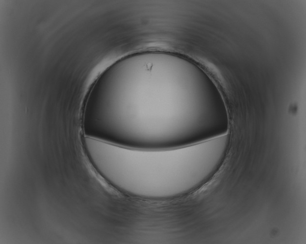X0000094071373200710190946