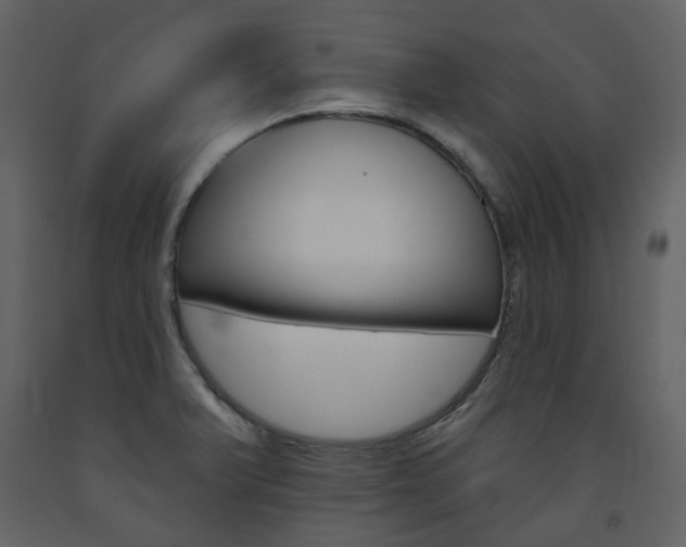 X0000094071375200710190946