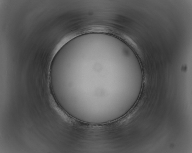 X0000094071378200710190946