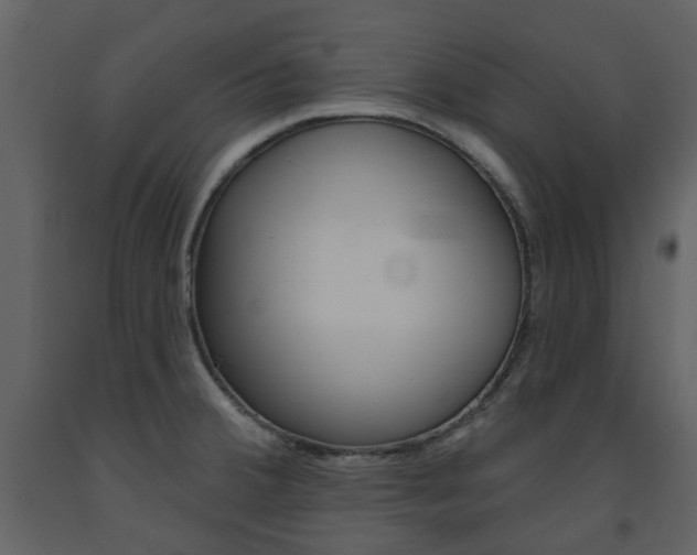 X0000094071380200710190946