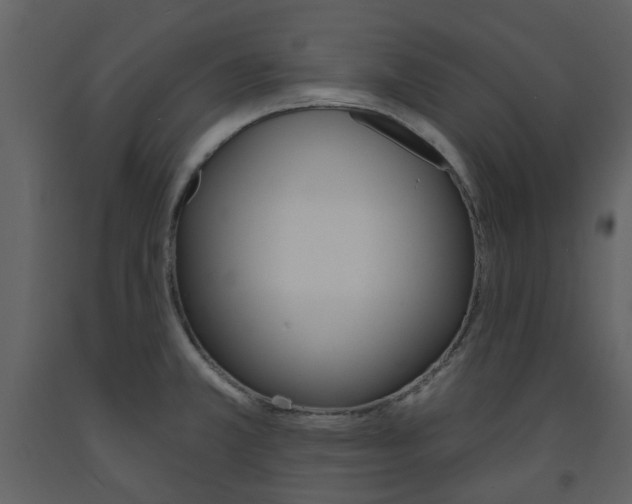 X0000094071381200710190946