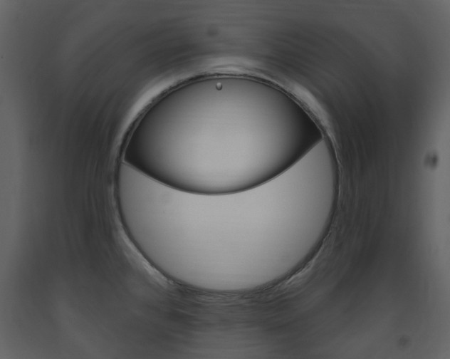 X0000094071384200710190946