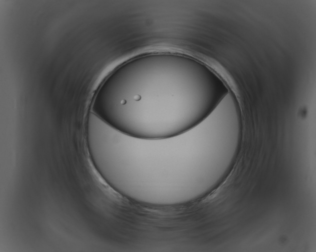 X0000094071388200710190946