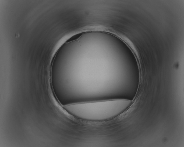 X0000094071389200710190946