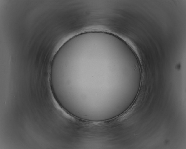 X0000094071390200710190946