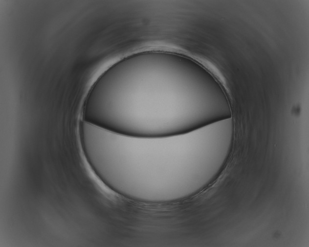 X0000094071391200710190946