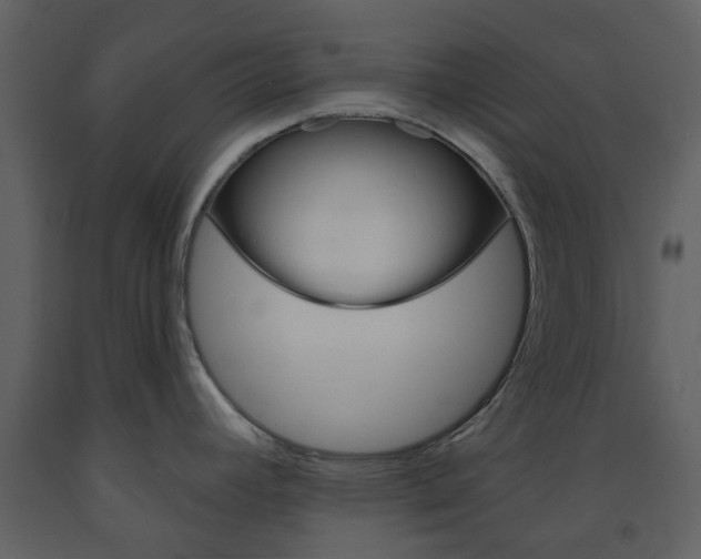 X0000094071392200710190946