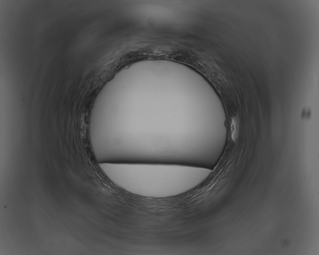 X0000094071395200710190945