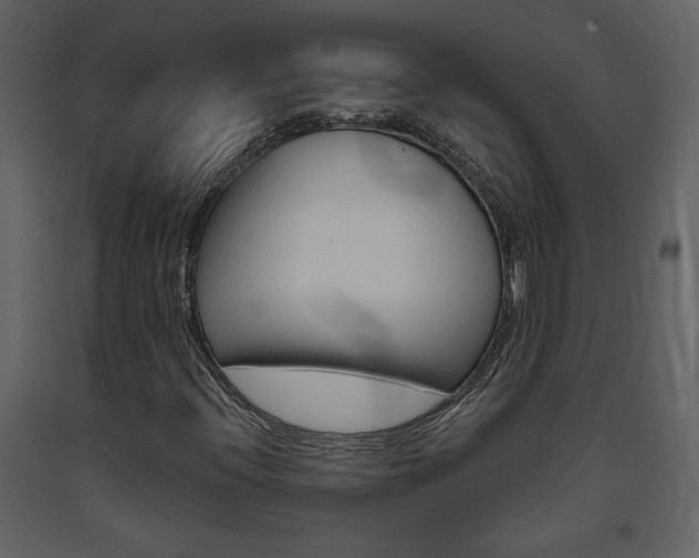 X0000094071396200710190945