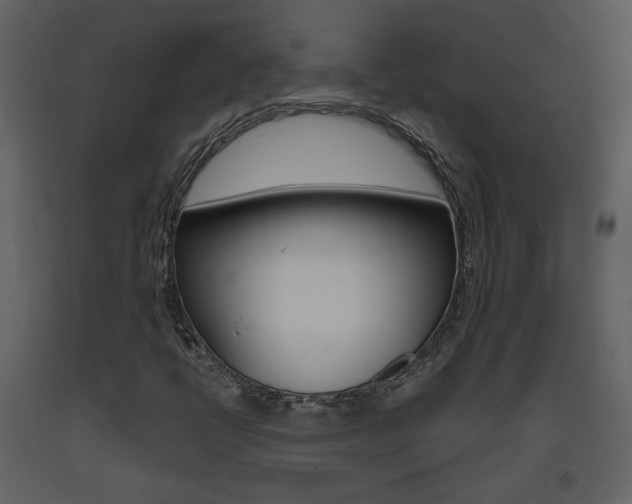 X0000094071398200710190945