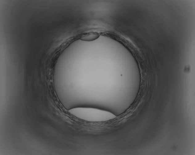 X0000094071399200710190945
