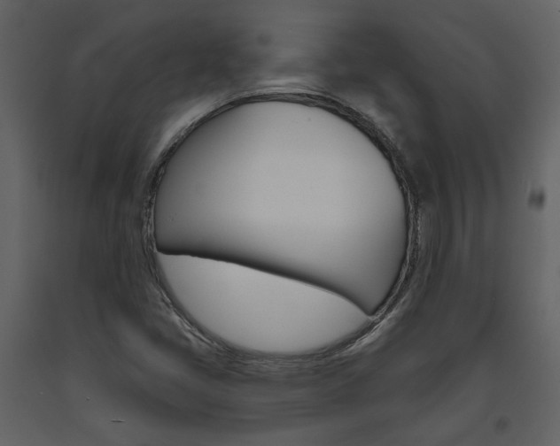 X0000094071405200710190945
