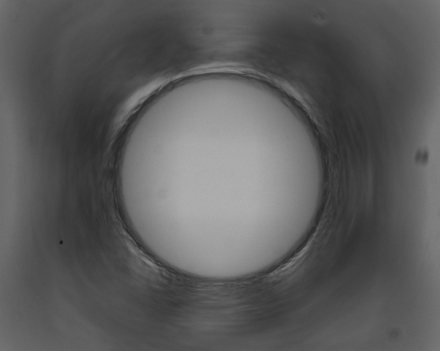 X0000094071406200710190945