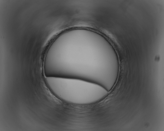 X0000094071408200710190945