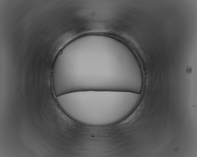 X0000094071409200710190945