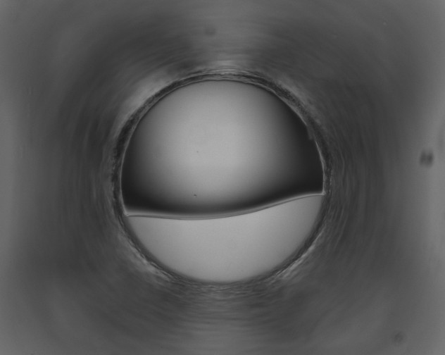 X0000094071410200710190945