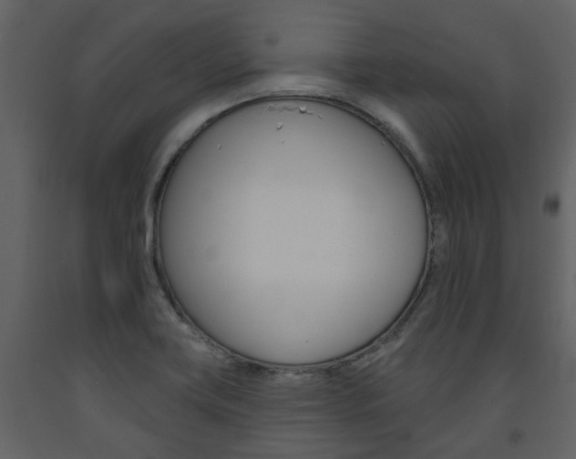 X0000094071419200710190945
