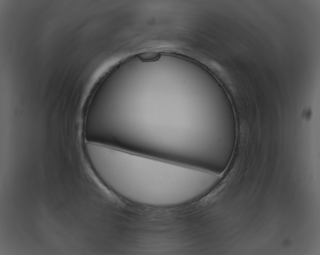 X0000094071424200710190946
