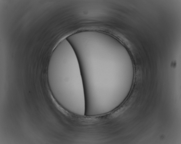 X0000094071425200710190946