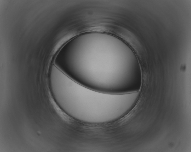 X0000094071426200710190946