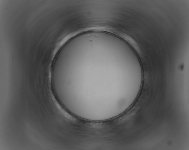 X0000094071428200710190946