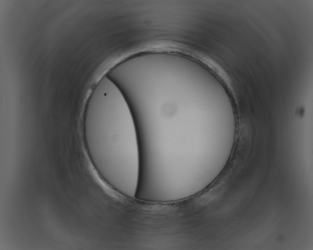 X0000094071429200710190946