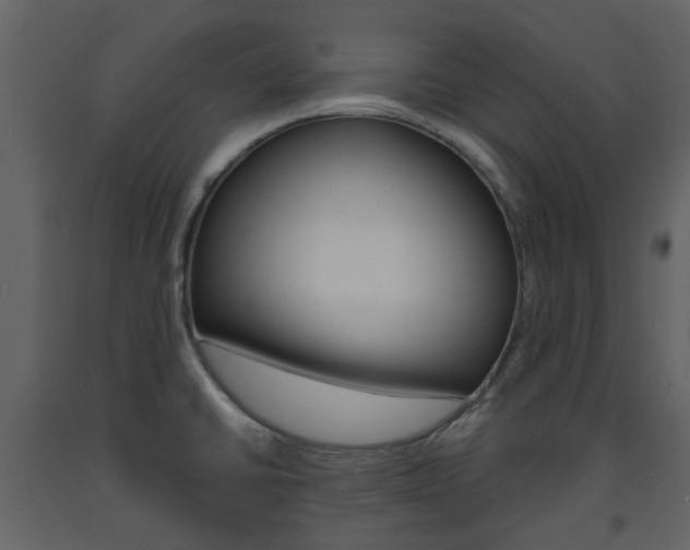 X0000094071430200710190946