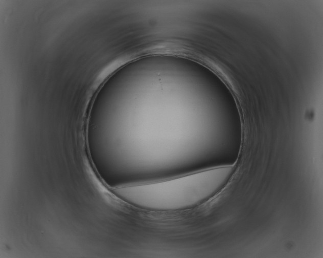 X0000094071434200710190946