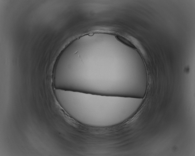 X0000094071435200710190946