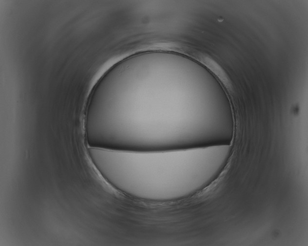 X0000094071436200710190946