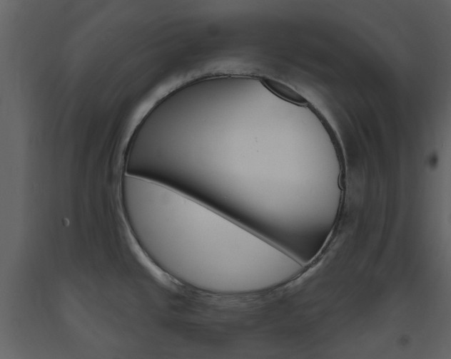 X0000094071437200710190946