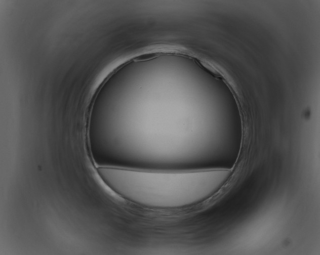 X0000094071438200710190946