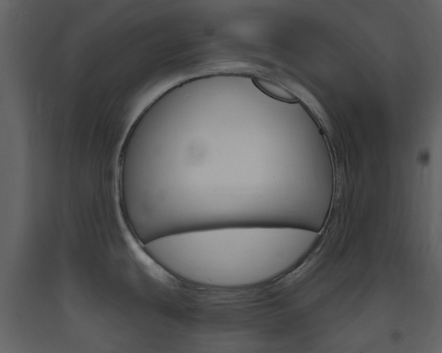 X0000094071439200710190946