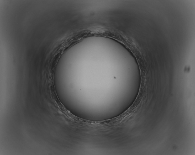 X0000094071445200710190945