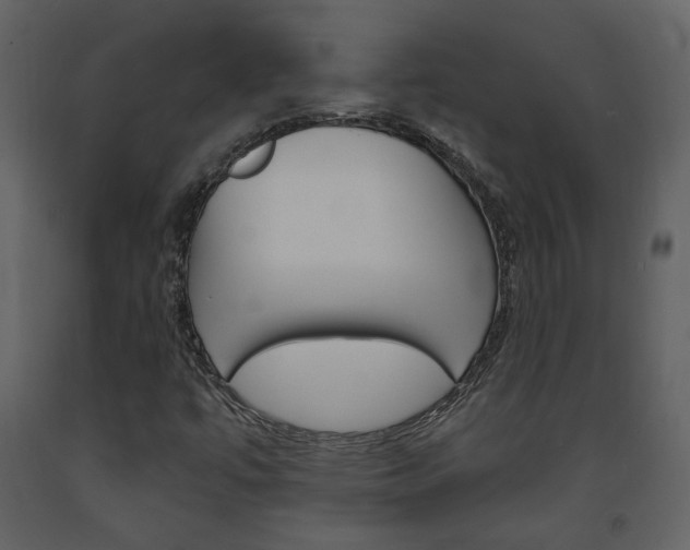 X0000094071447200710190945