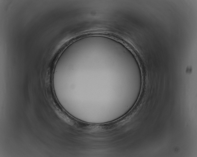 X0000094071450200710190945