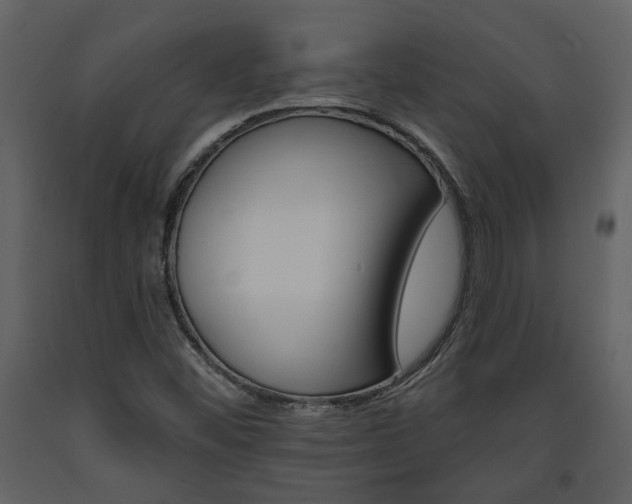 X0000094071452200710190945