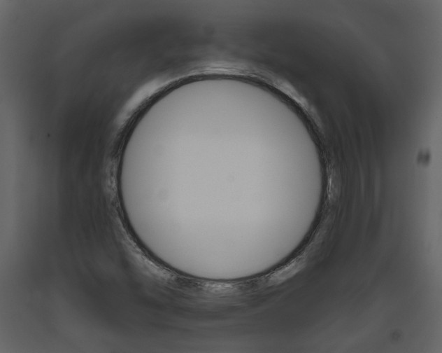 X0000094071454200710190945