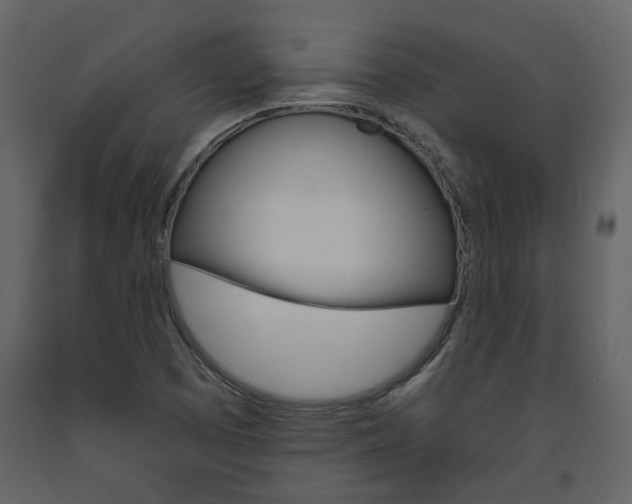 X0000094071457200710190945