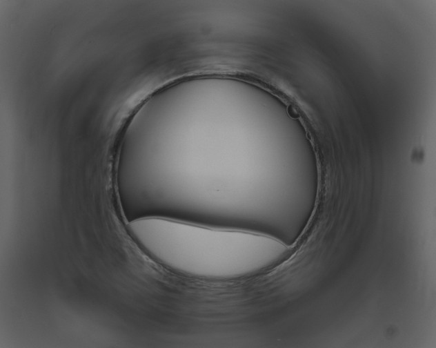 X0000094071459200710190945