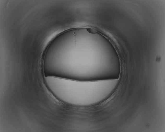 X0000094071463200710190945