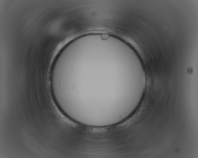 X0000094071466200710190945